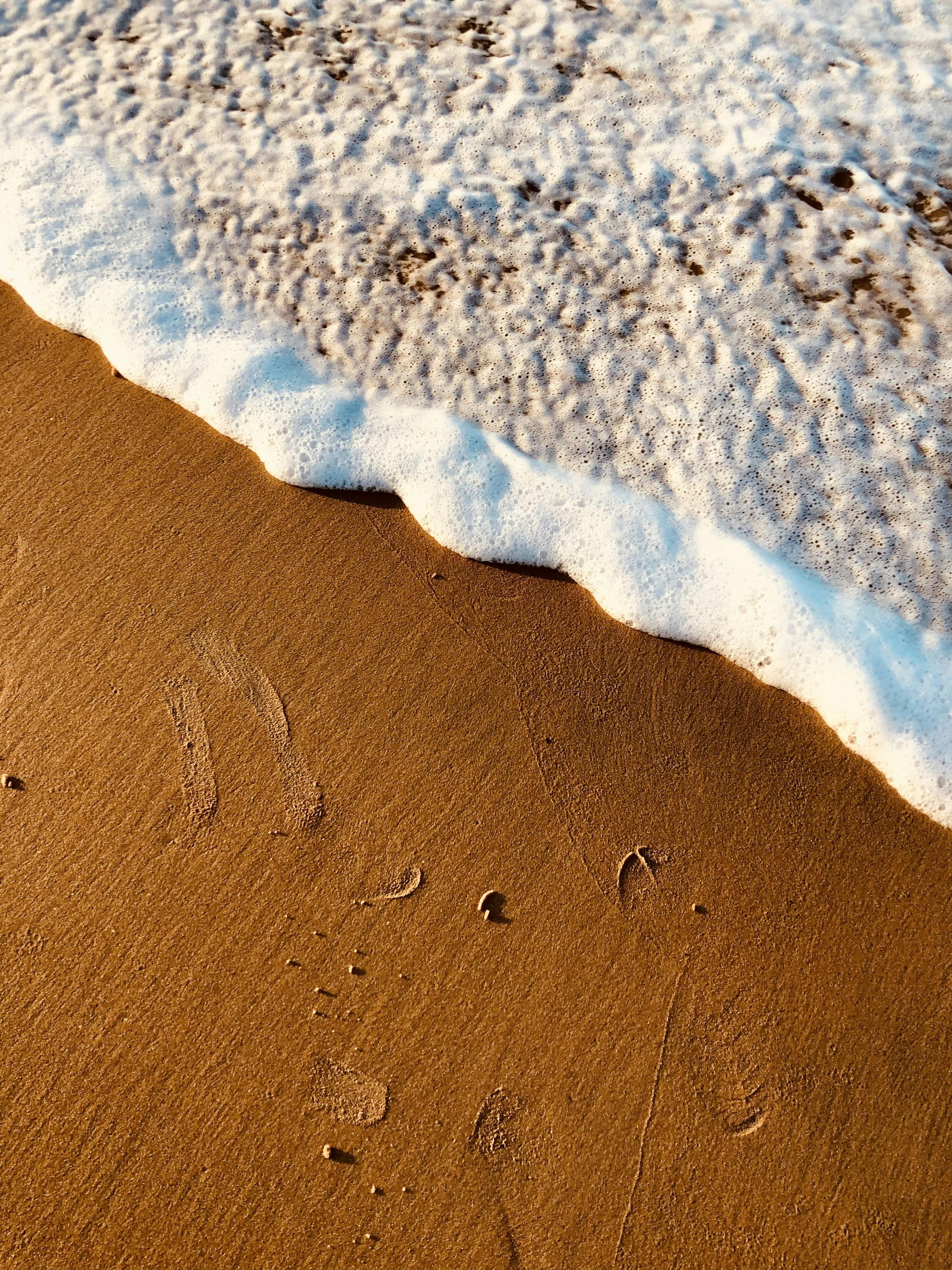 Del Mar coastal beach with golden sand and waves along the California coast